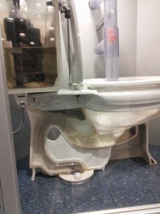 Toilet Flush
