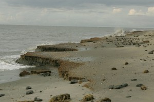 Beach_erosion_(8427148836)